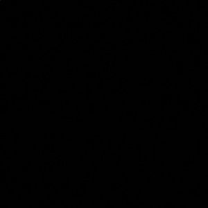 Meet your Posher, Lexi